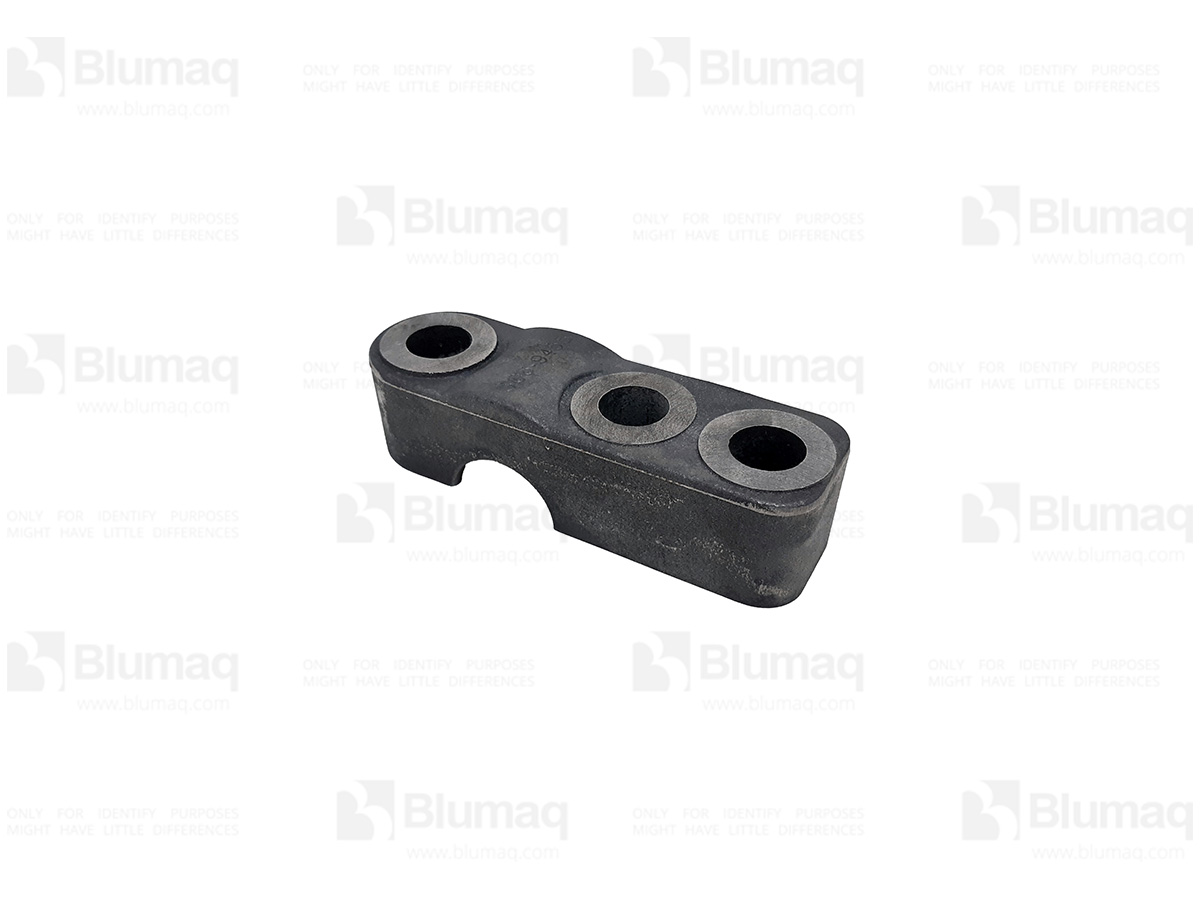 306-9455 Cover for BLUMAQ