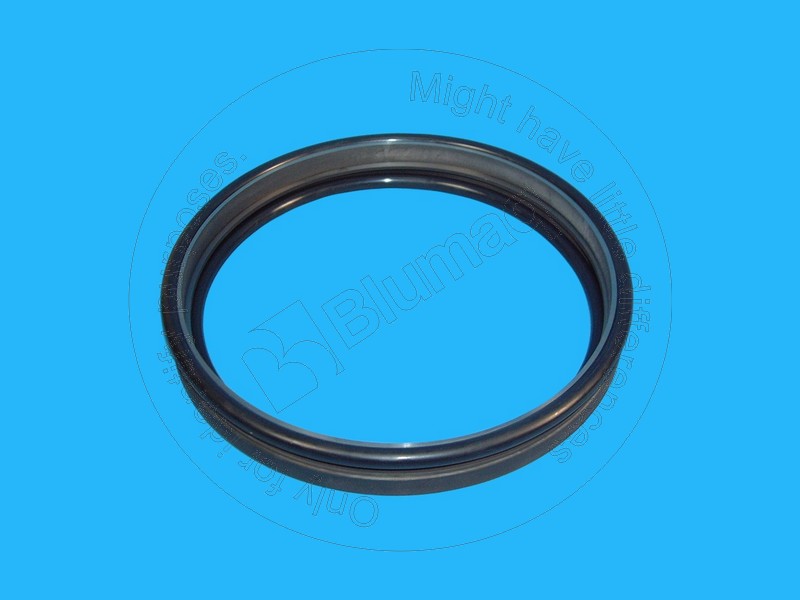 VOE11102516 Seal Gp. Duo-cone for VOLVO