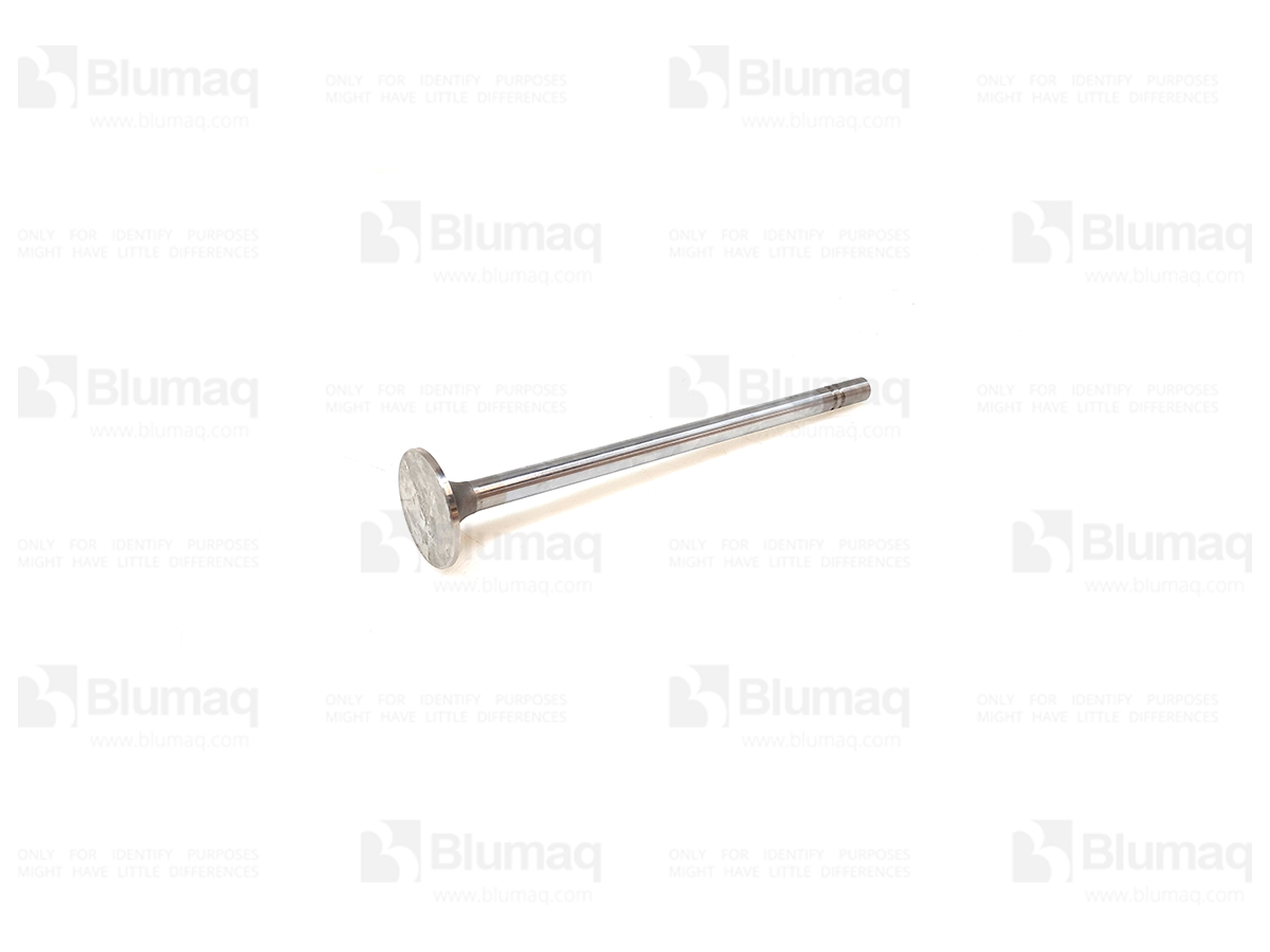 490-1719 Intake Valve