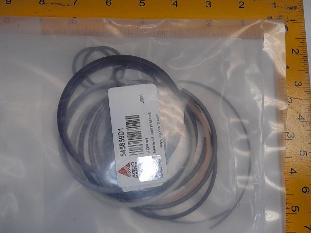 545659D1 Seal Kit for AGCO