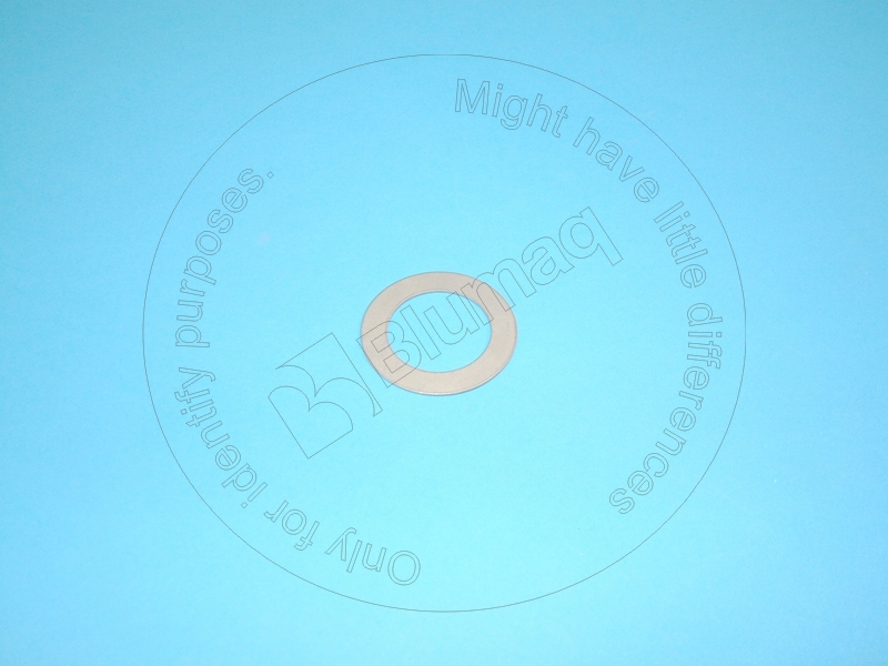 VOSA7117-34390 Washer for BLUMAQ