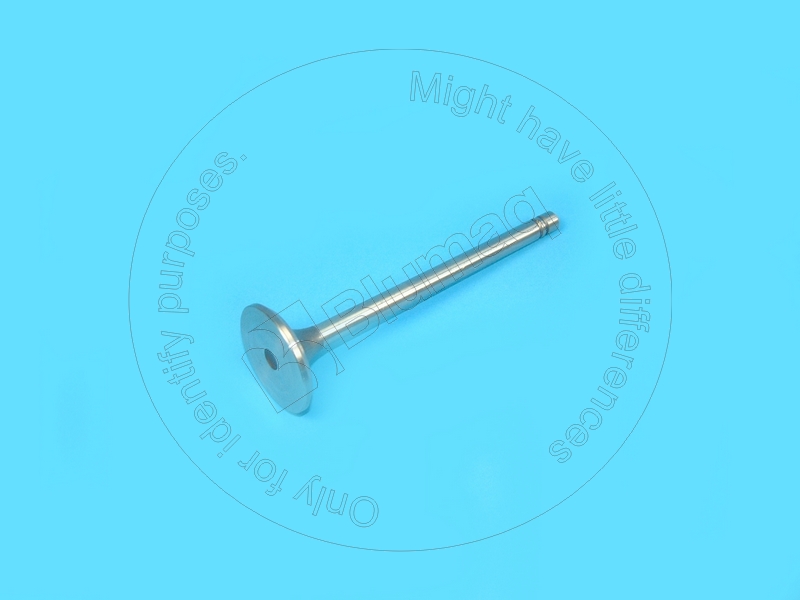 2M6402 Valve