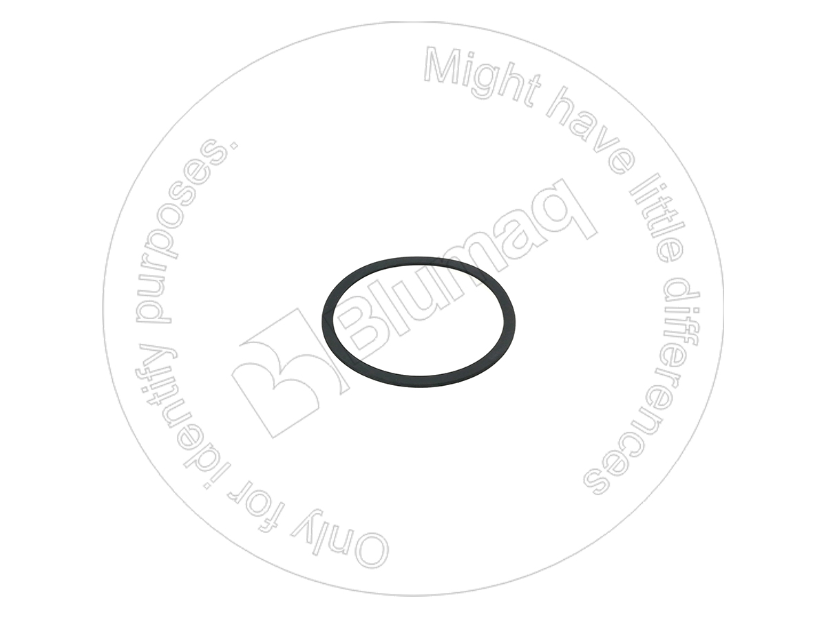 VOCH52020 BLUMAQ Back-up Ring