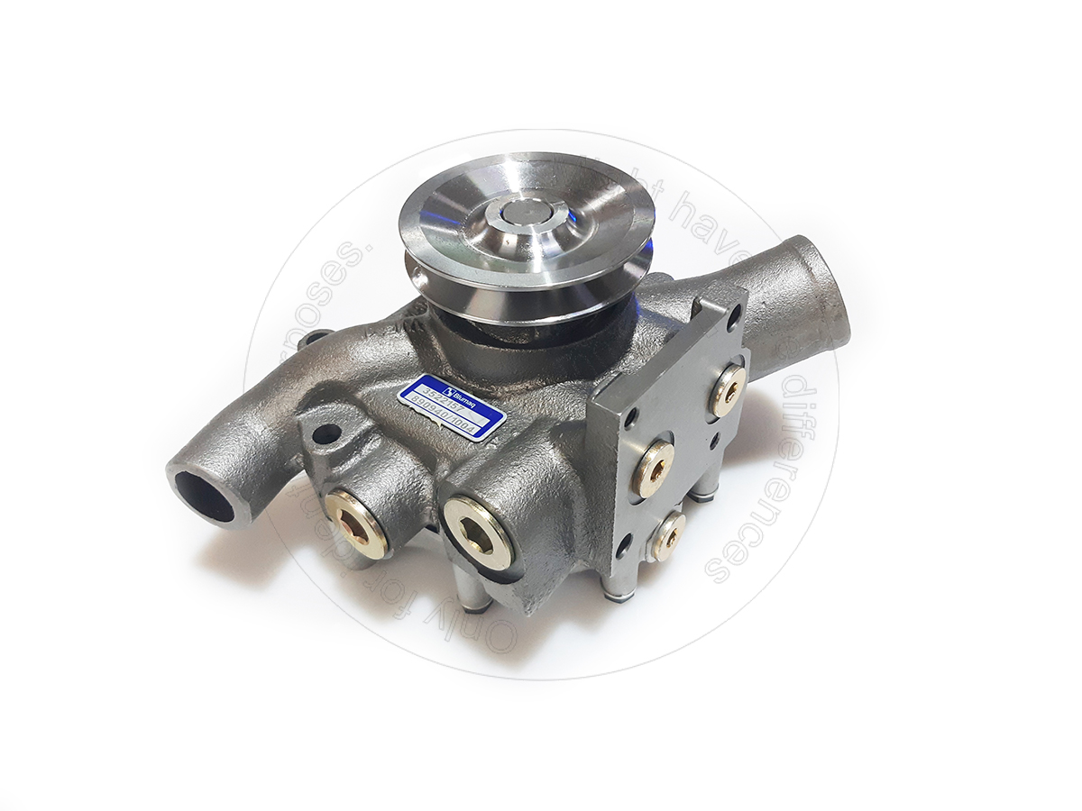 113-6132 Water Pump