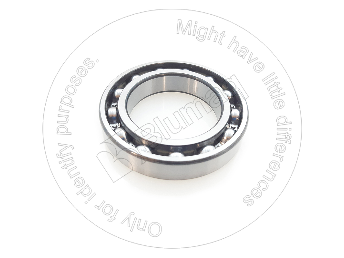 06300-06012 Bearing for BLUMAQ
