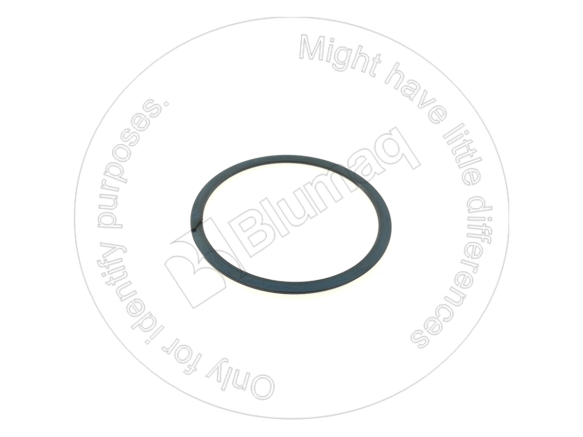 4692833 Seal Ring