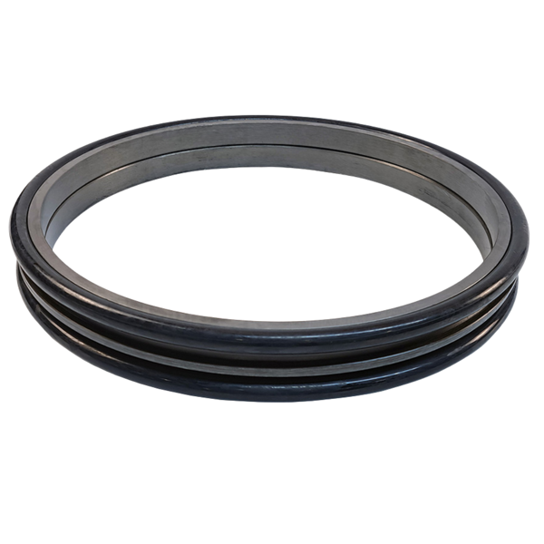 CS71402765 CASE Seal Gp. Duo-cone