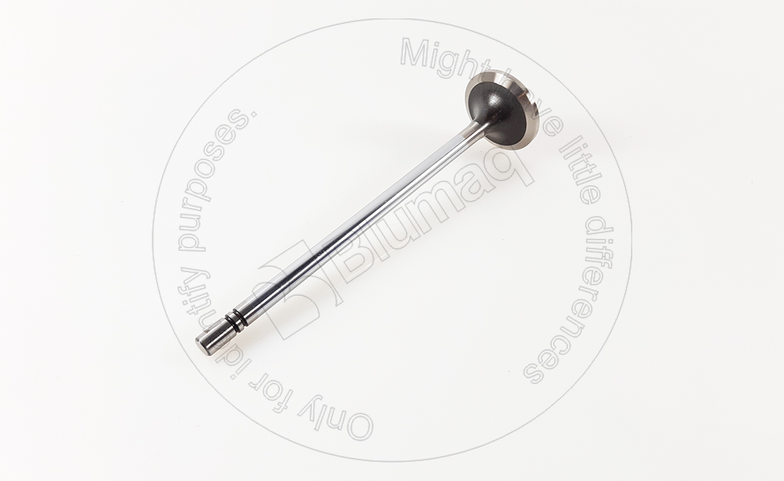 490-7199 BLUMAQ Intake Valve