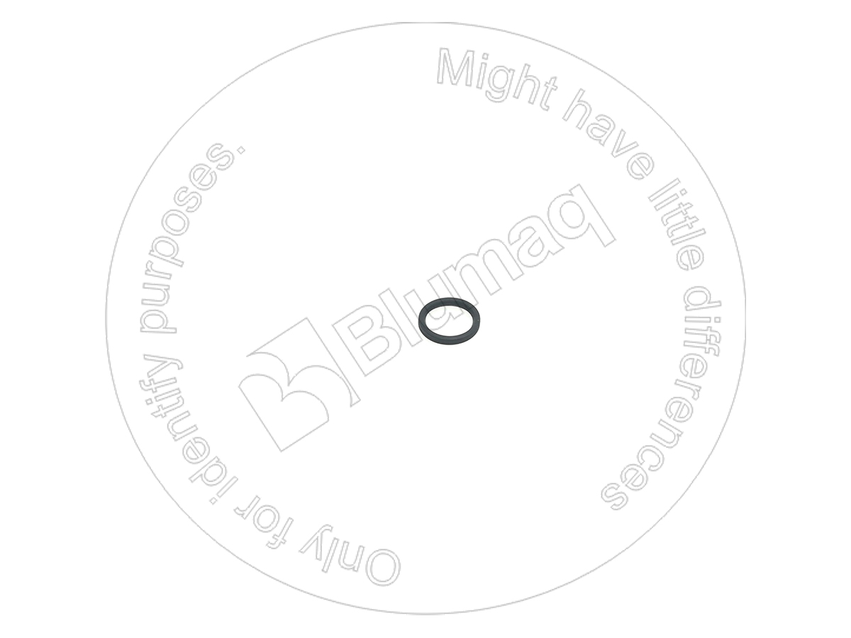 115.321 Seal for BLUMAQ