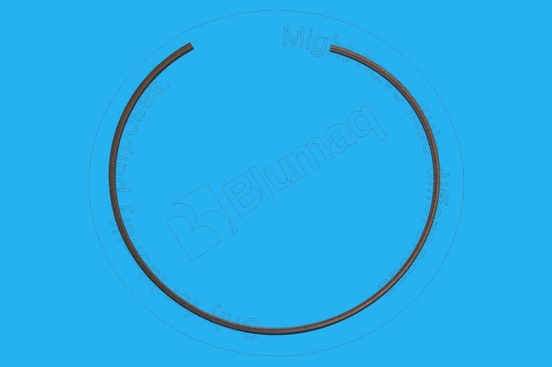 6T-0248 Seal Ring for BLUMAQ