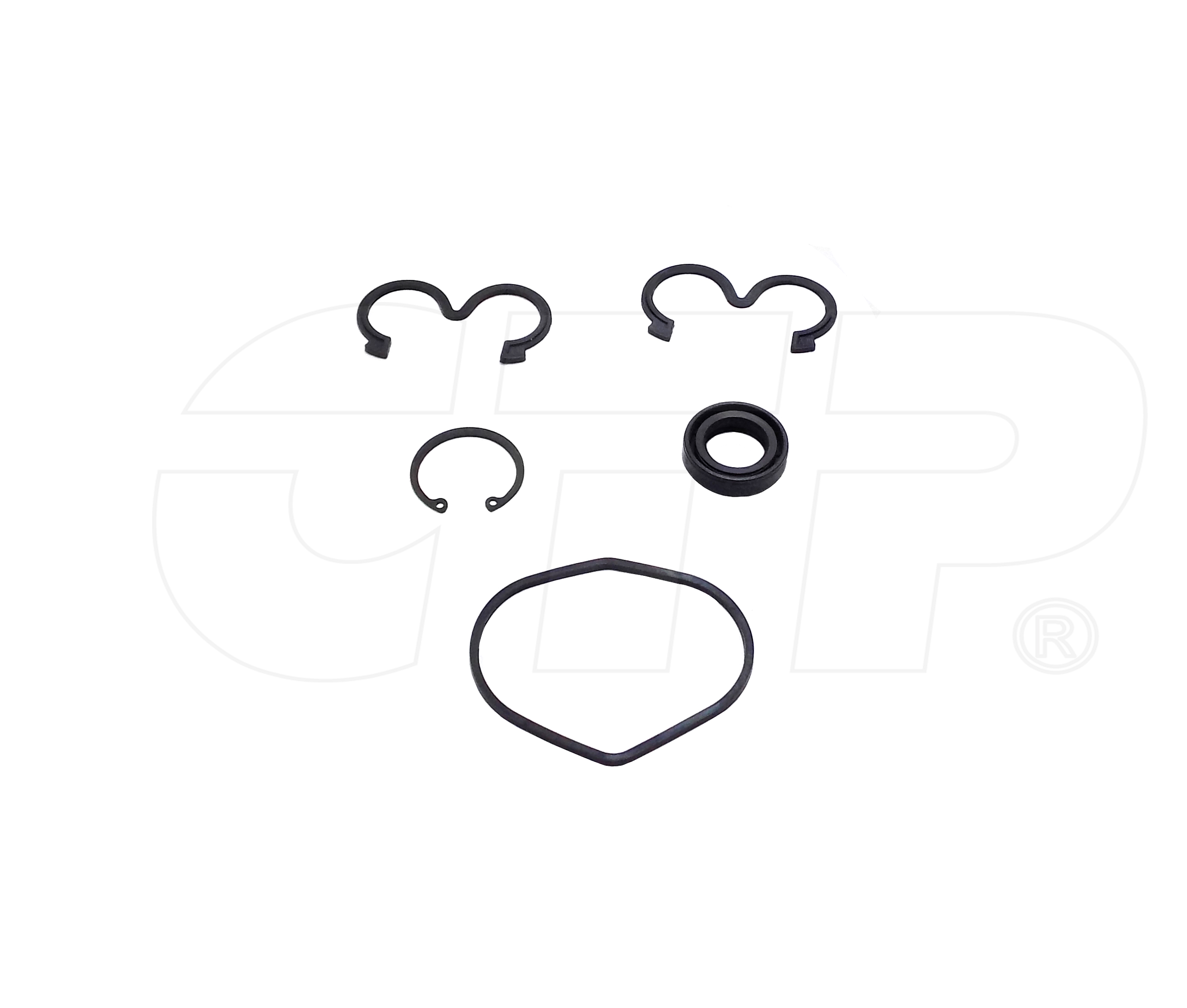2502503 Seal Kit for CATERPILLAR