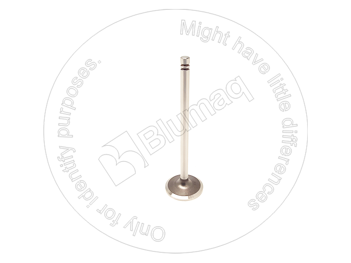 1M-3552 Intake Valve