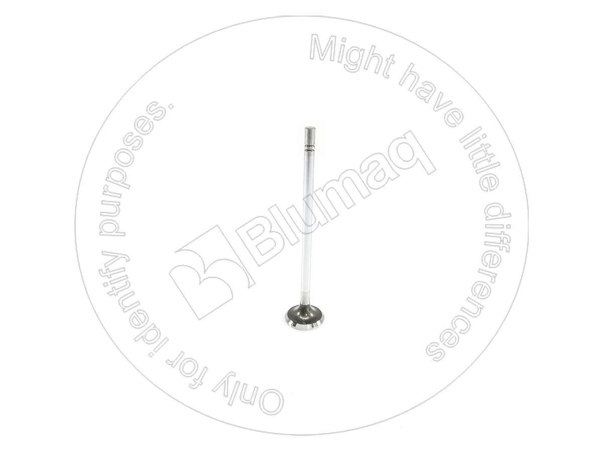 490-7200 Exhaust Valve for BLUMAQ