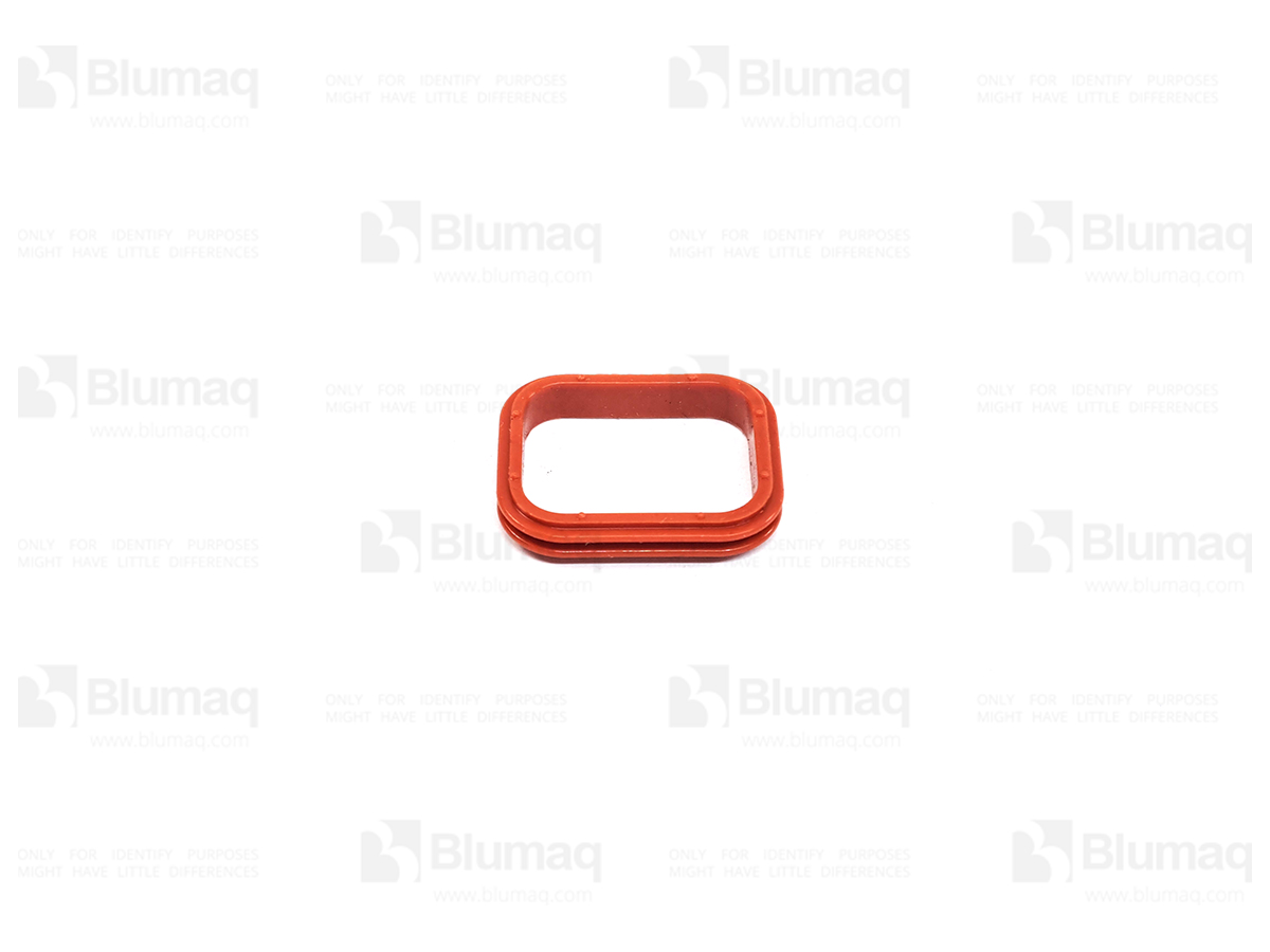 209-0634 Seal for BLUMAQ