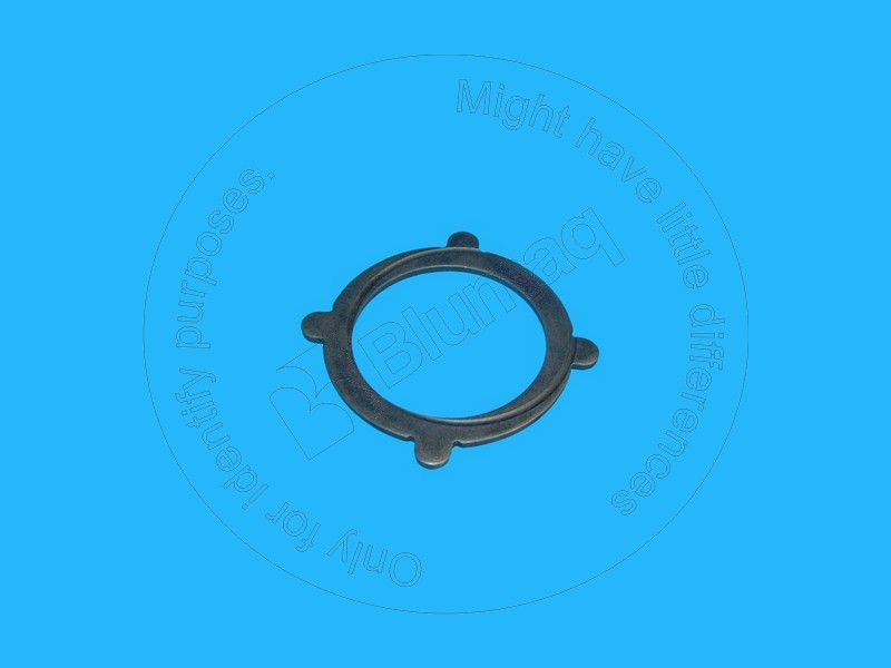 135-7493 Washer for BLUMAQ