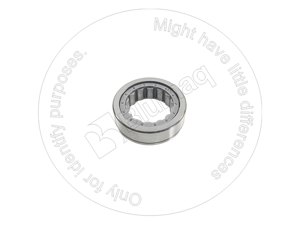 9N-4569 Bearing for BLUMAQ