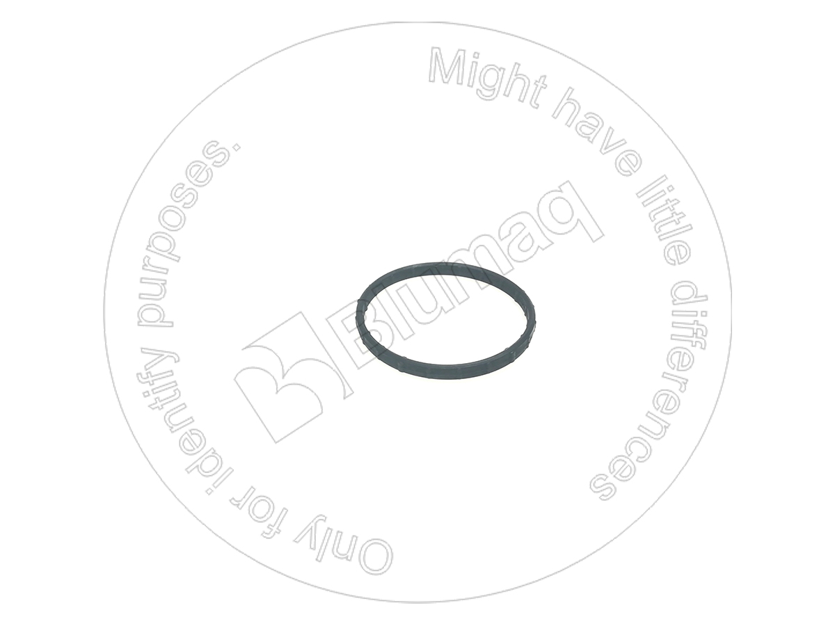 229-8810 Seal for BLUMAQ