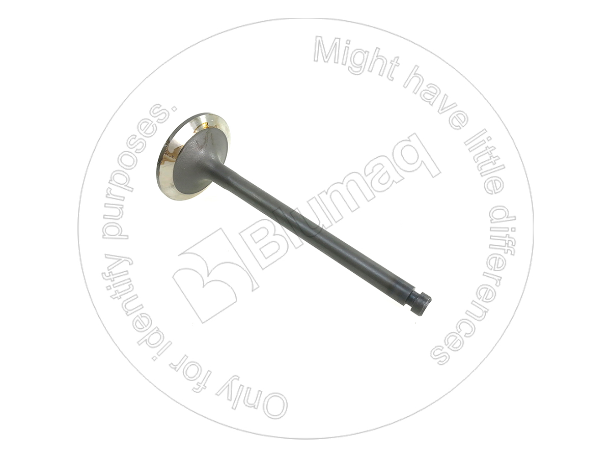 YM12990011100 Valve