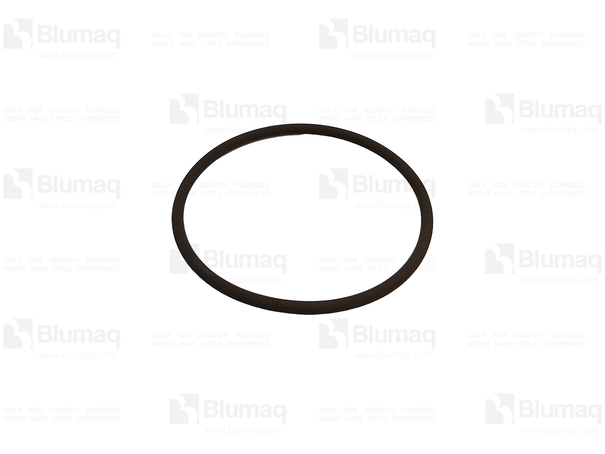 6V-5101 Seal O-ring
