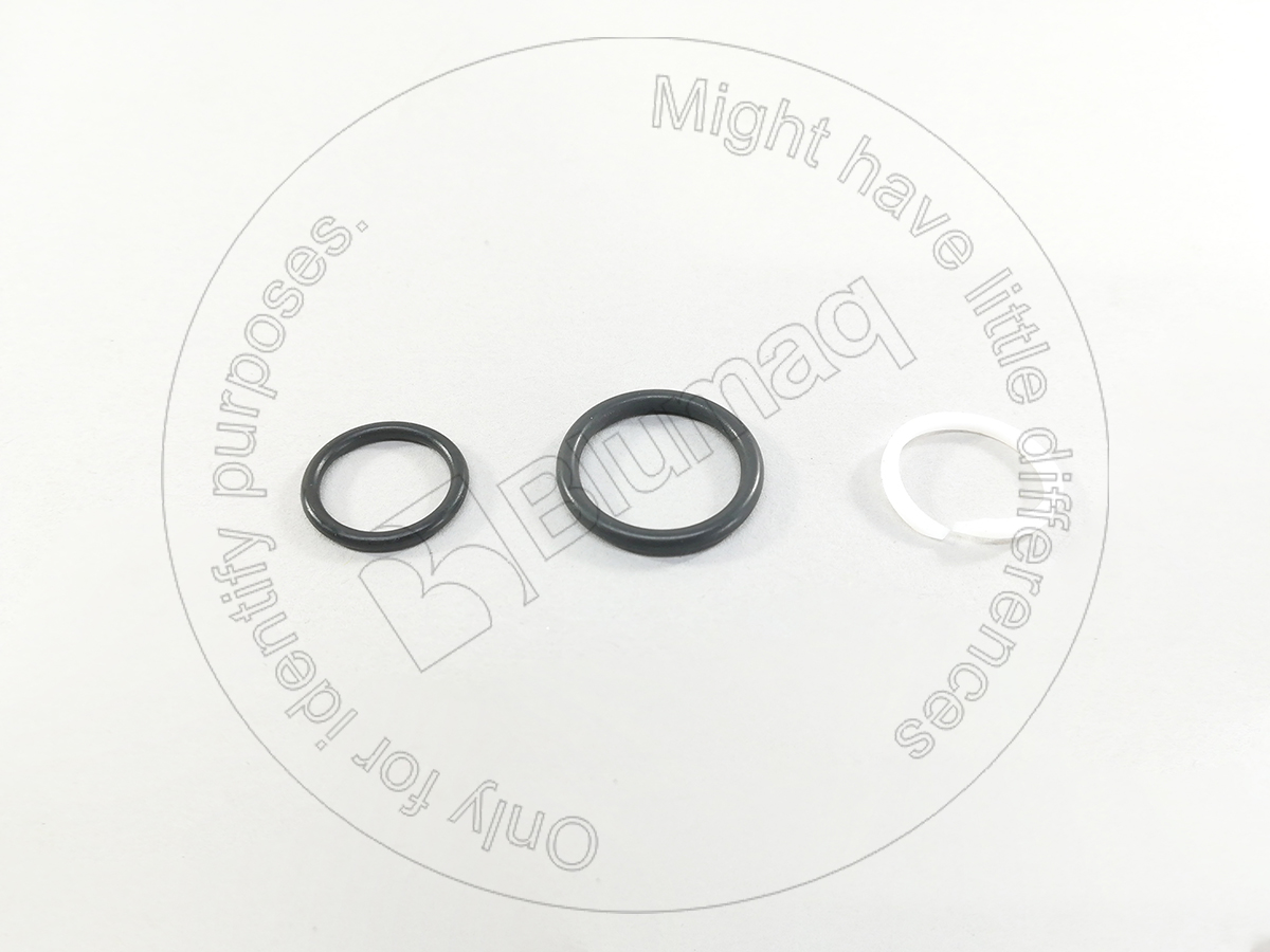 166-3859 BLUMAQ Seal Kit