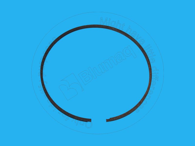 1M-4169 Segment for BLUMAQ