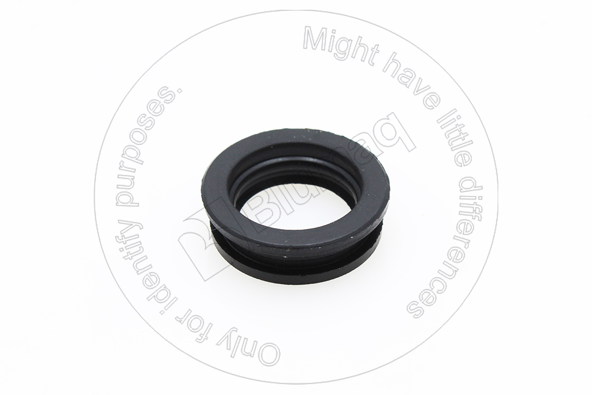 034.315 Seal for BLUMAQ