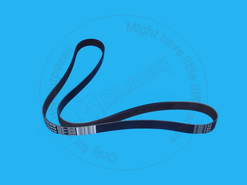 CU3289325 BLUMAQ Belt