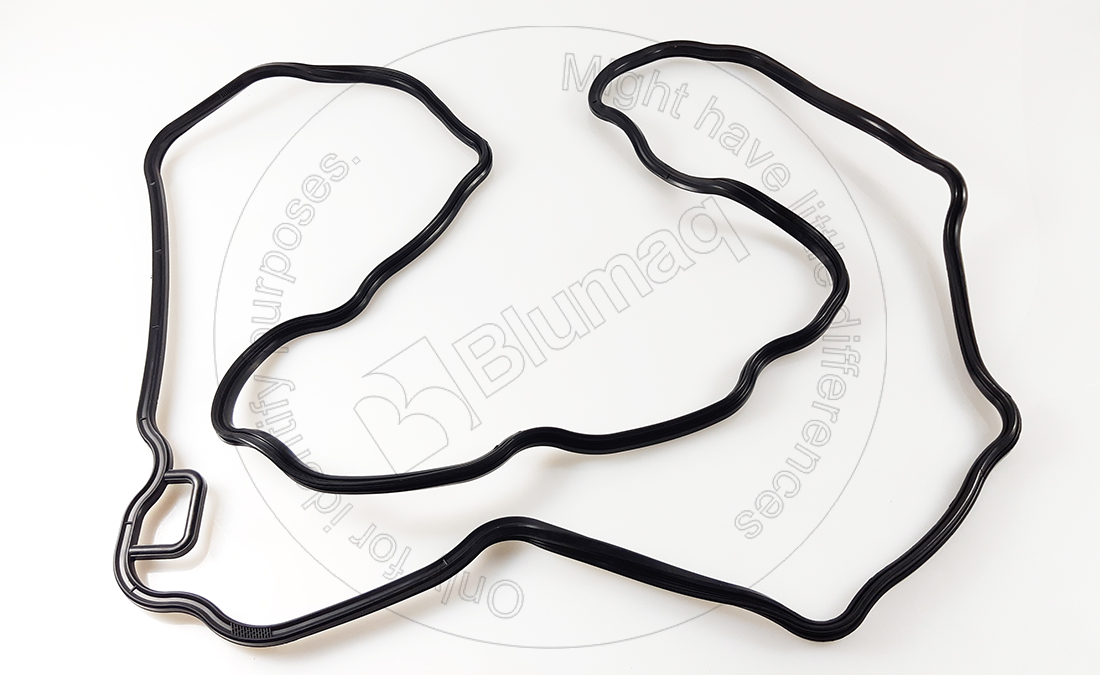 078.022 Seal for BLUMAQ