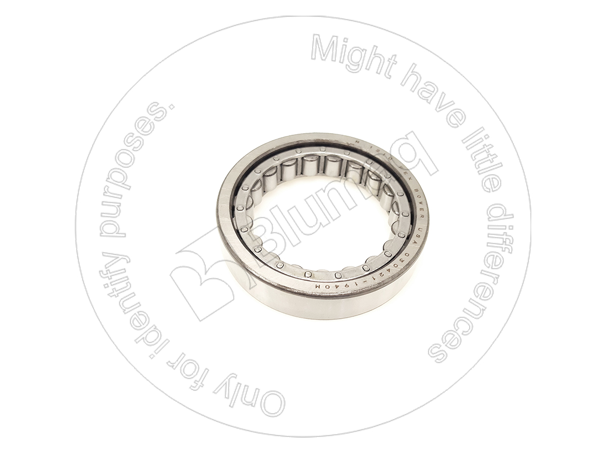 5H-1901 Bearing for BLUMAQ