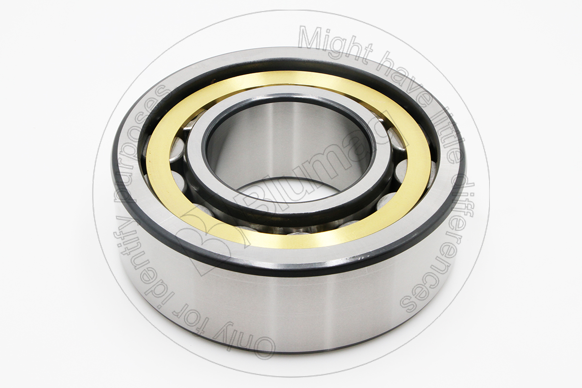 06043-02322 Roller Bearing for BLUMAQ