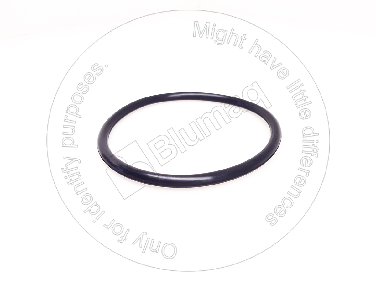 931345 Seal O-ring