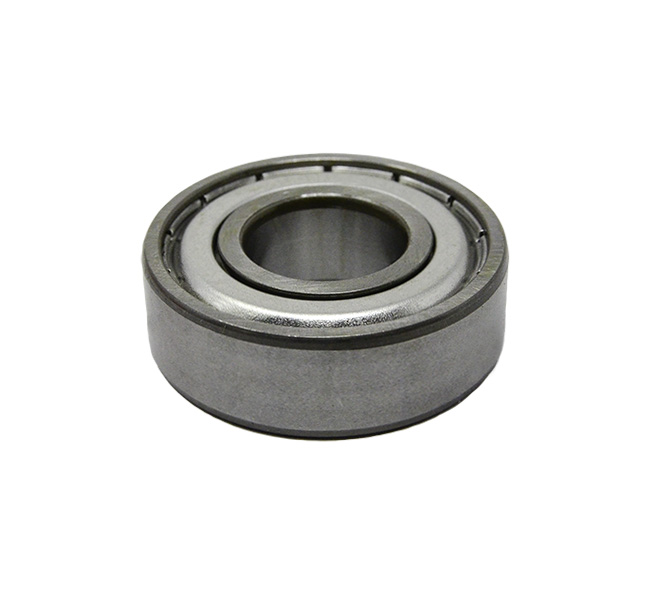 6202 Ball Bearing