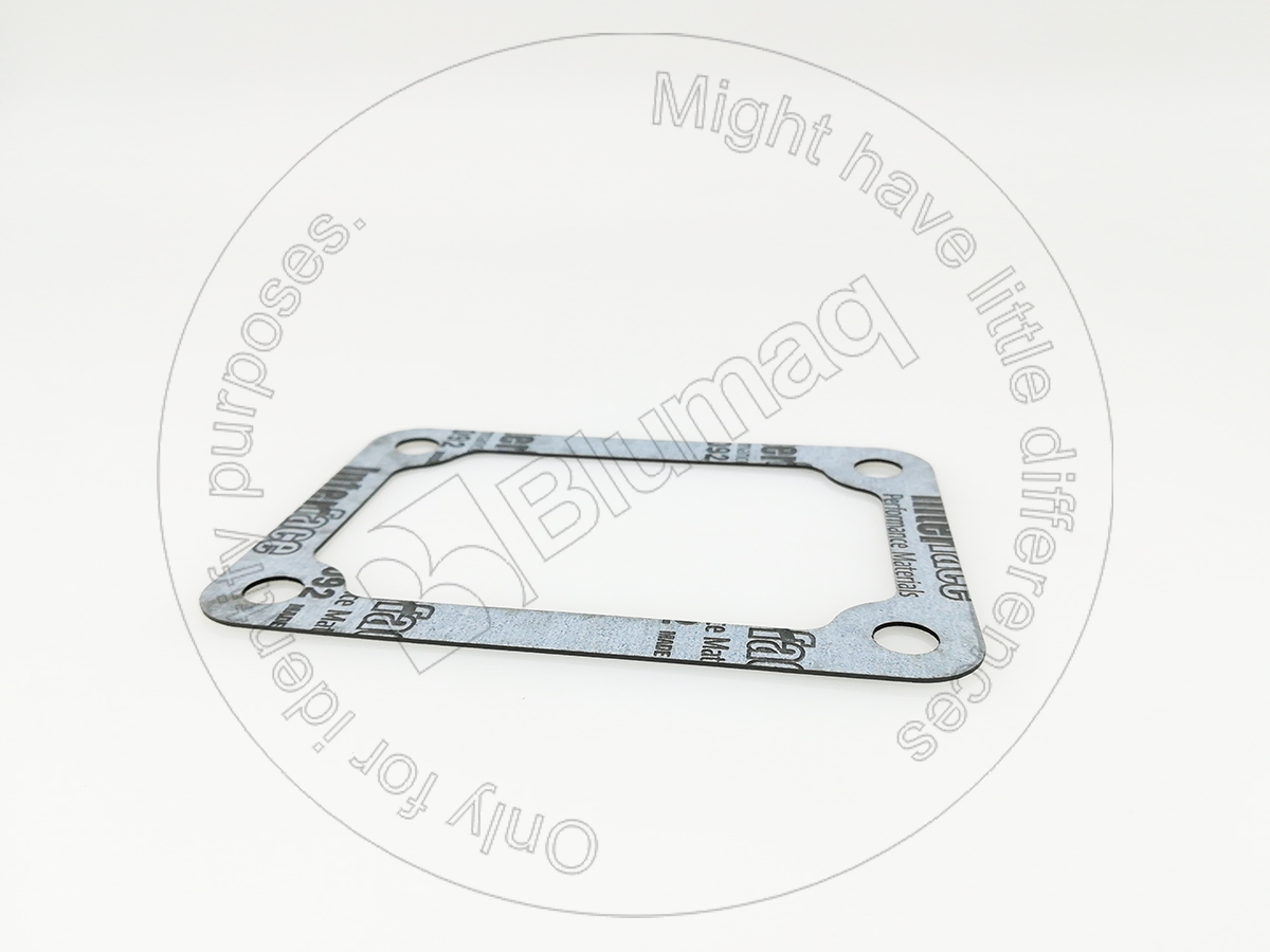 P3684N009 Gasket for BLUMAQ