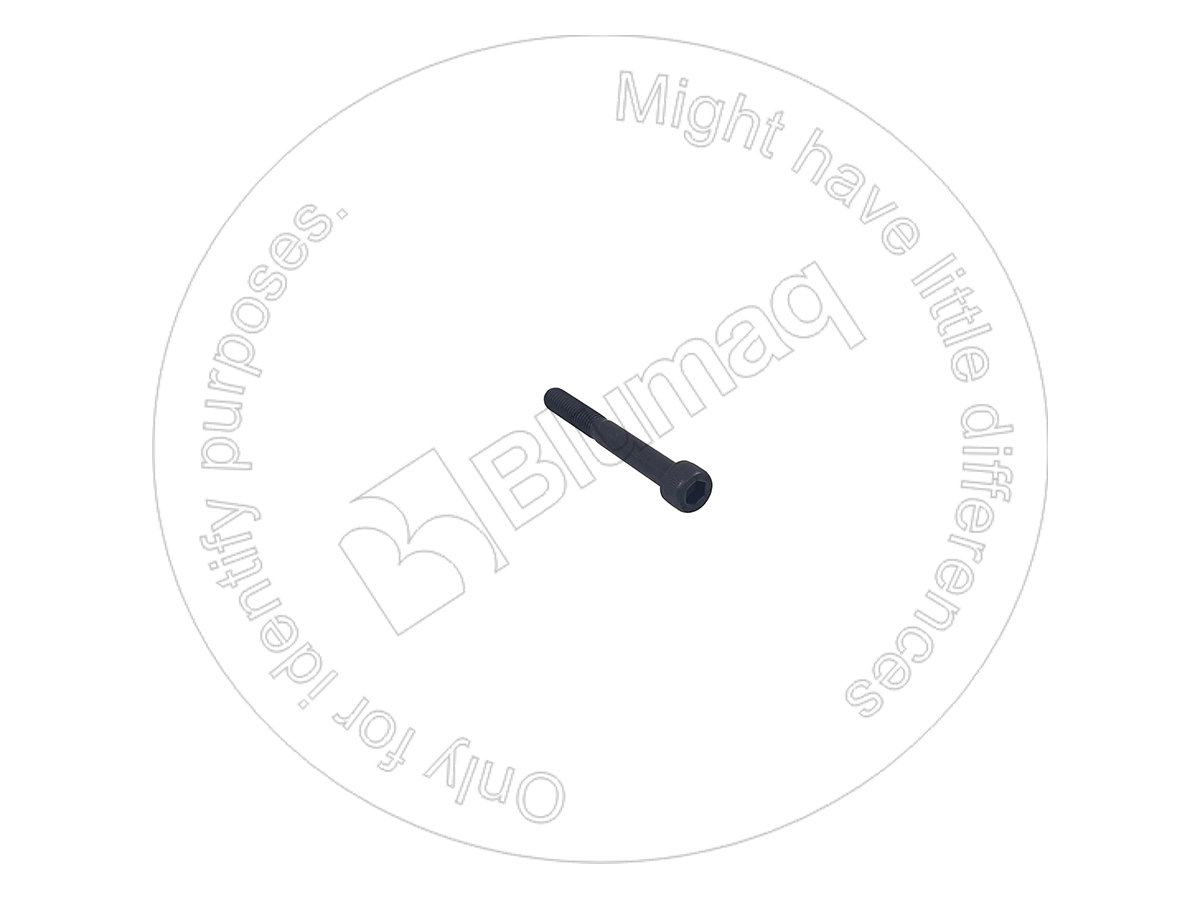 01252-01080 Allen Bolt for BLUMAQ