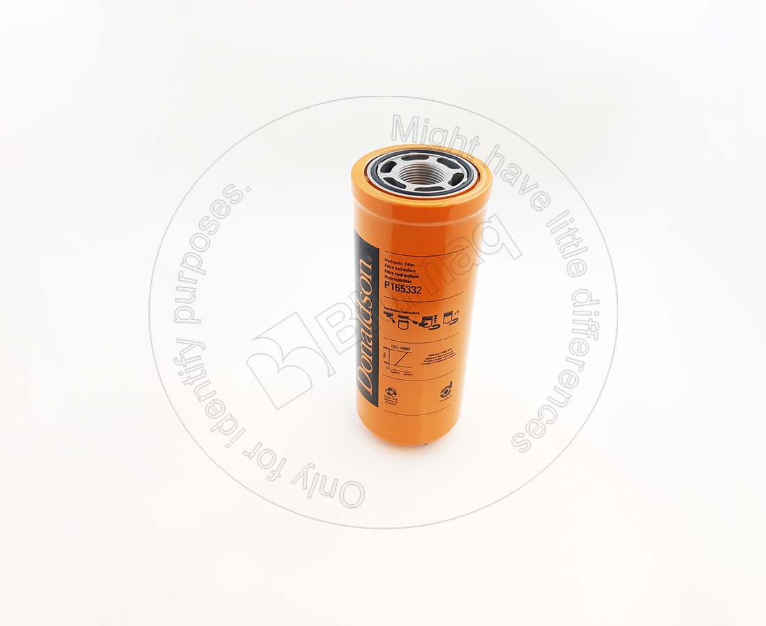P165332 Filter Suitable 4656502 for BLUMAQ