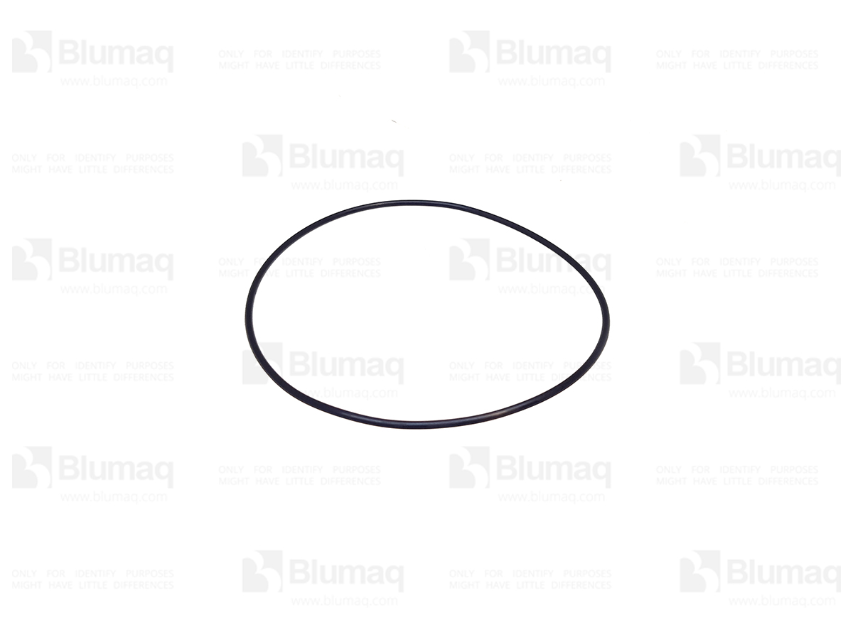 900.01805 Seal O-ring for BLUMAQ