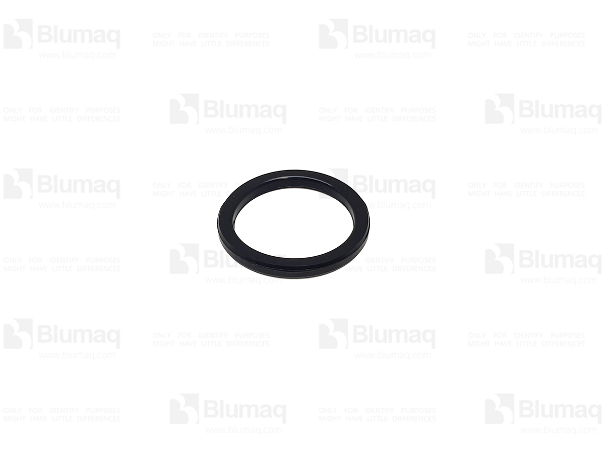 038.391 Seal for BLUMAQ