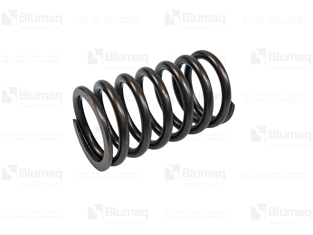 6162-42-4420 Valve Spring for BLUMAQ