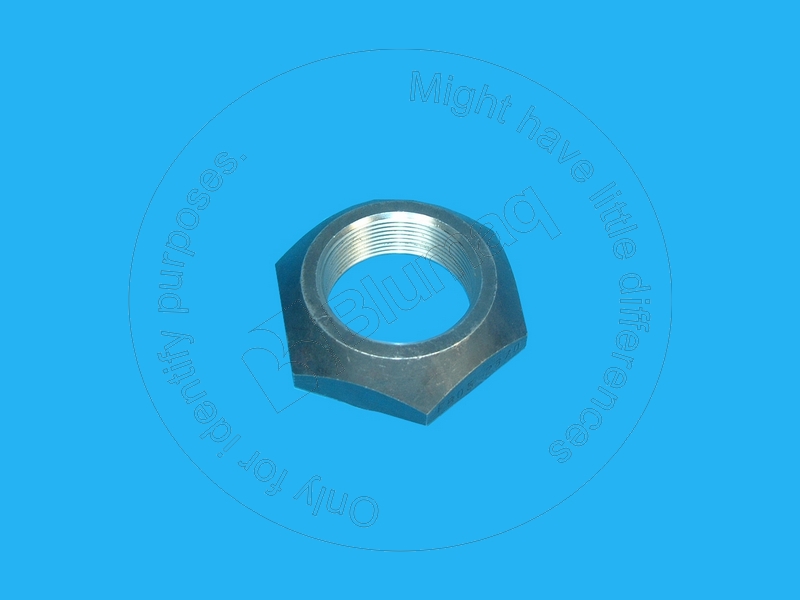 42559630 Nut for BLUMAQ