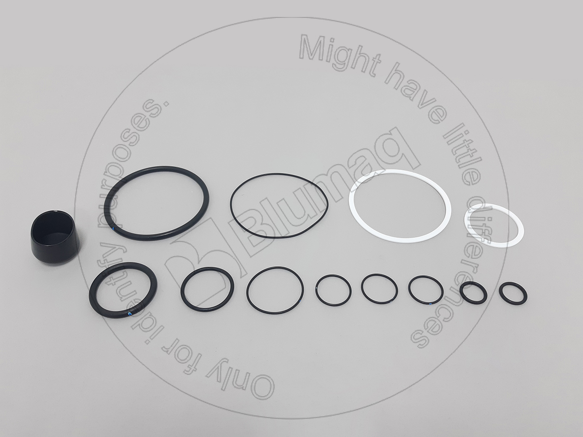 306-7144 Seal Kit for BLUMAQ
