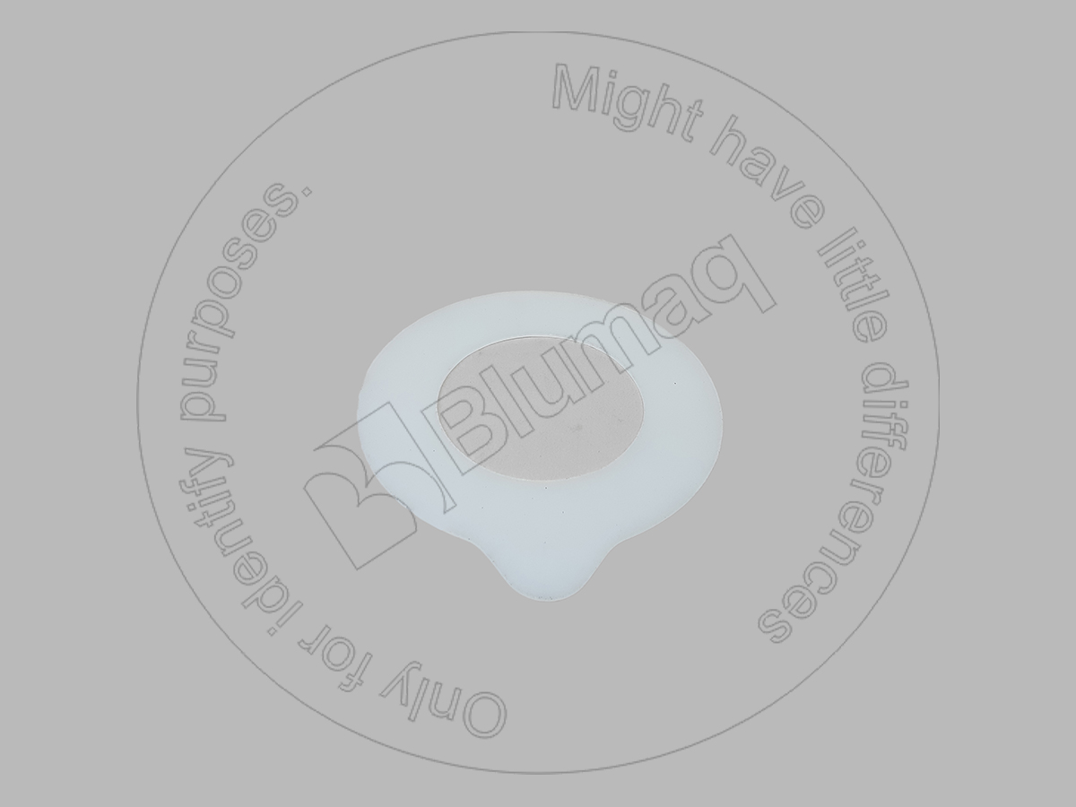 166-1487 BLUMAQ Shim