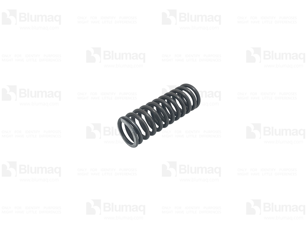 5M-7304 Spring for BLUMAQ