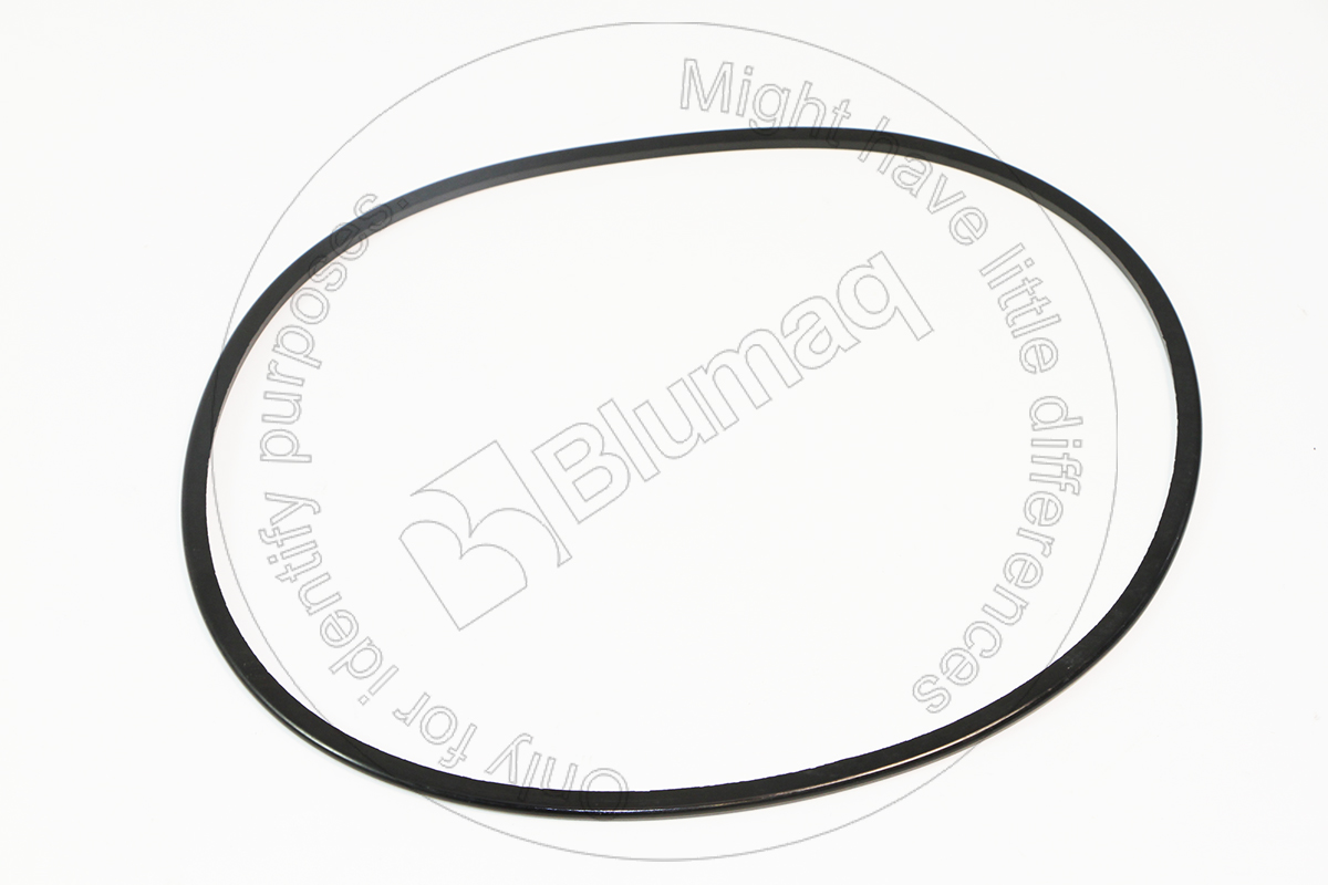 151-6250 Seal O-ring for BLUMAQ