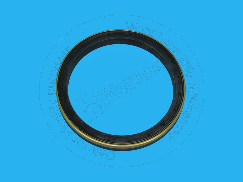 CS153318835 Seal for CASE