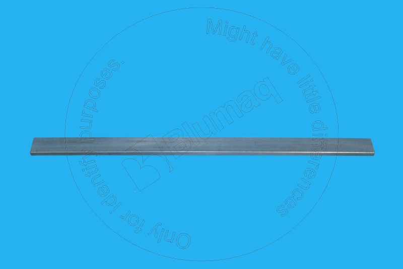 5M-2004 Strip Wear