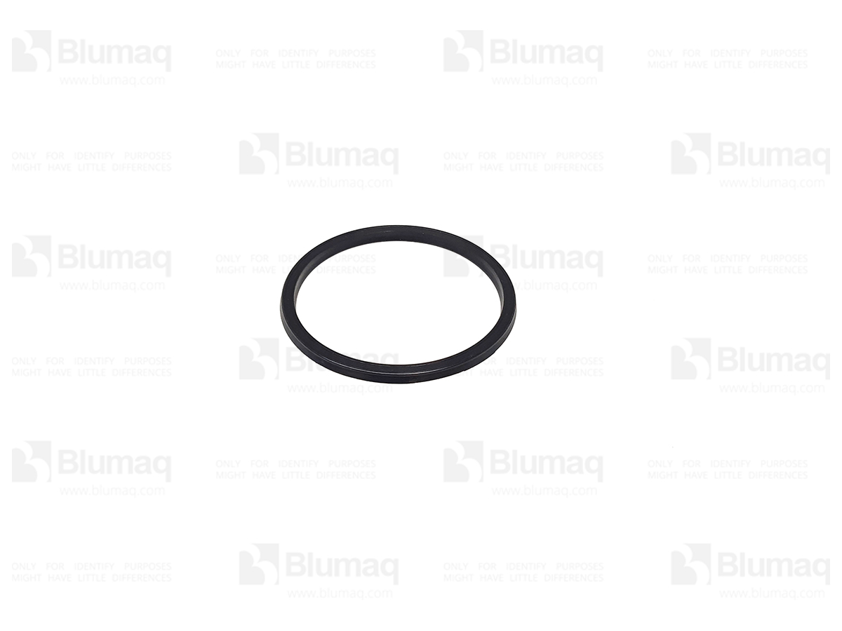 CS71448929 Back-up Ring