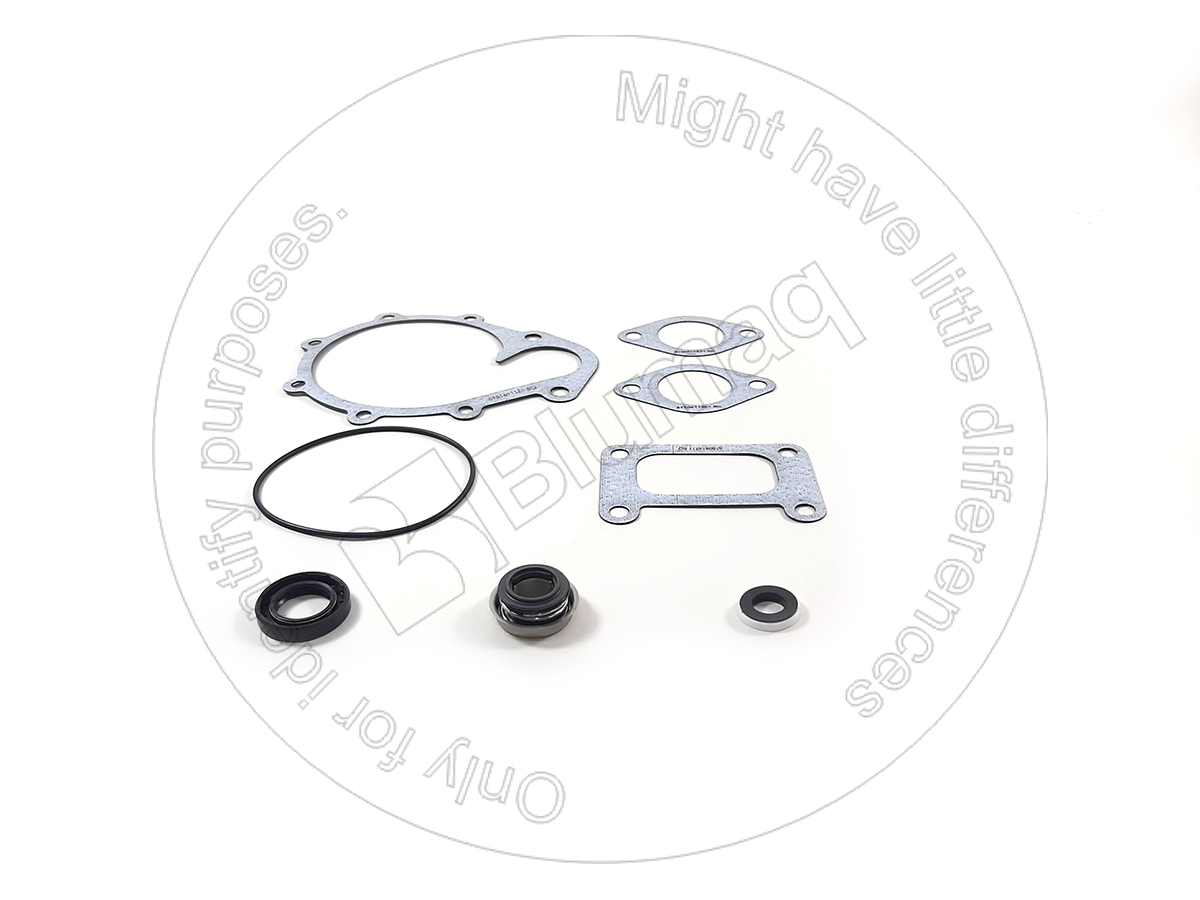 6150-K6-9900 Gasket Kit for BLUMAQ