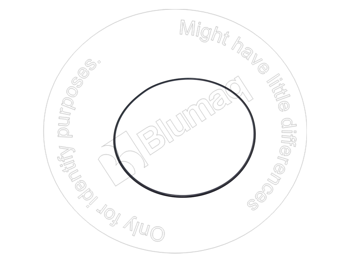 ZF0634.303.684 Seal O-ring for BLUMAQ
