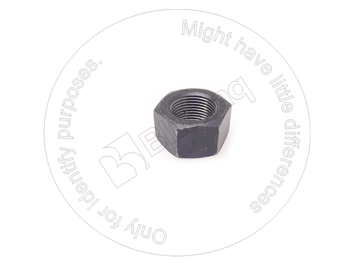 CR5845 BERCO Nut