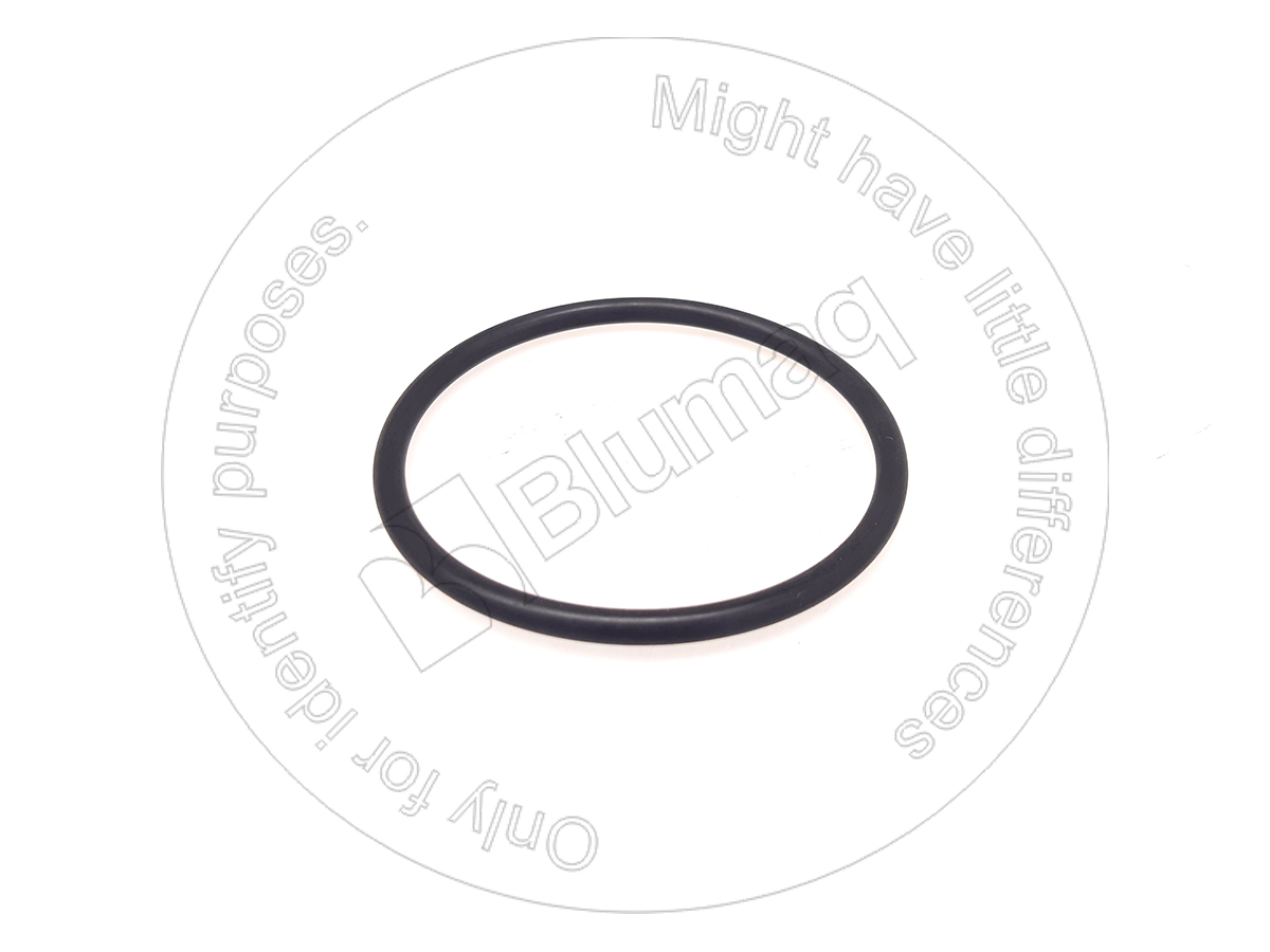 5D1597 Seal O Ring